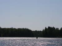 img_5153.jpg